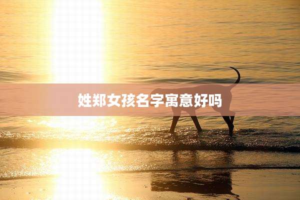 姓郑女孩名字寓意好吗