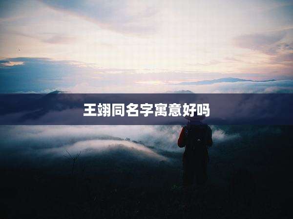 王翊同名字寓意好吗