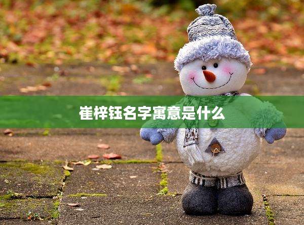 崔梓钰名字寓意是什么