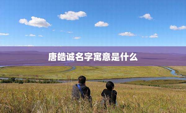 唐皓诚名字寓意是什么