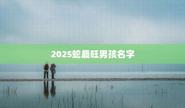 2025蛇最旺男孩名字