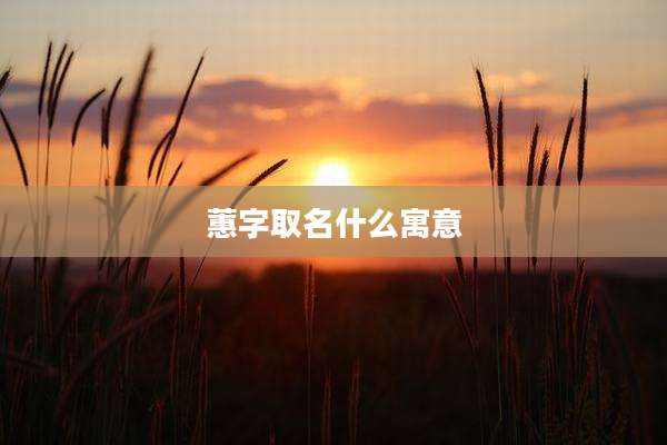 蕙字取名什么寓意