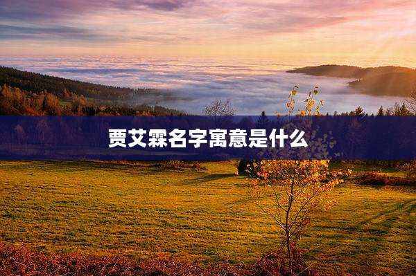 贾艾霖名字寓意是什么