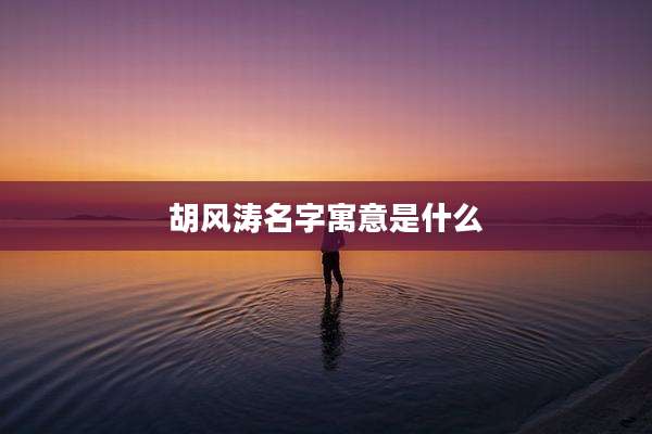 胡风涛名字寓意是什么