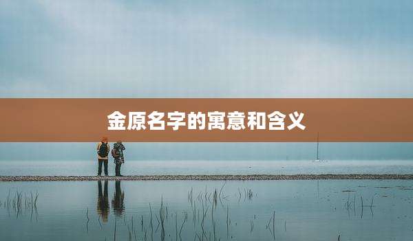 金原名字的寓意和含义