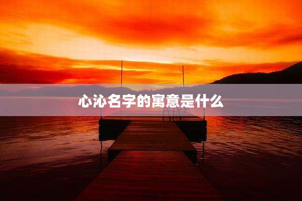 心沁名字的寓意是什么