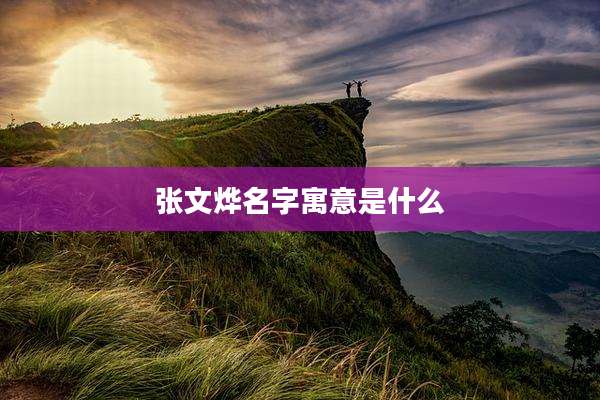 张文烨名字寓意是什么