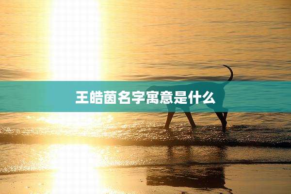 王皓茵名字寓意是什么