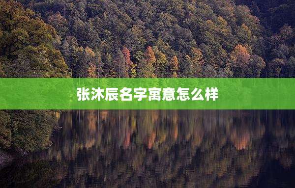 张沐辰名字寓意怎么样
