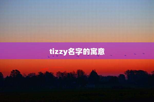 tizzy名字的寓意