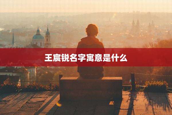 王宸锐名字寓意是什么