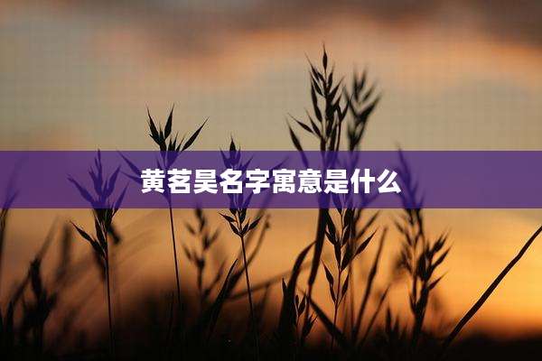 黄茗昊名字寓意是什么