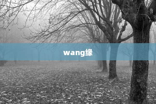 wang缘