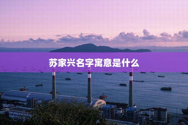 苏家兴名字寓意是什么