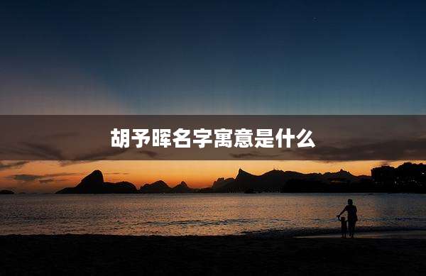 胡予晖名字寓意是什么