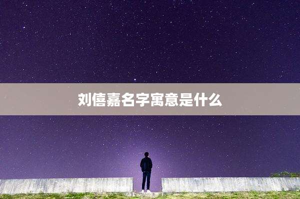 刘僖嘉名字寓意是什么