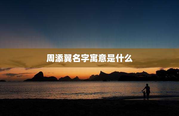 周添翼名字寓意是什么