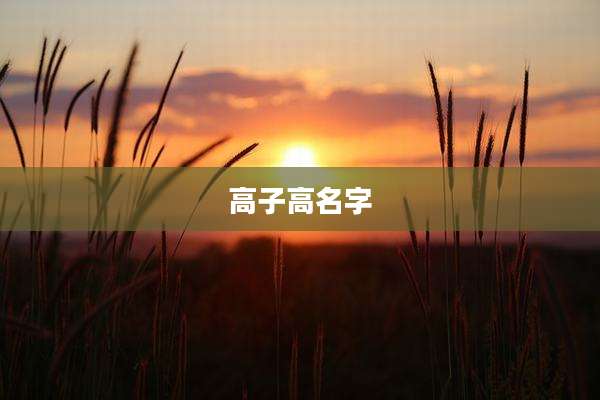 高子高名字