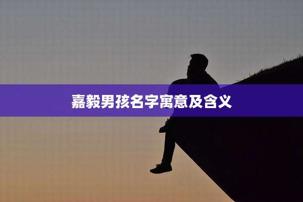 嘉毅男孩名字寓意及含义