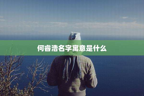 何睿浩名字寓意是什么