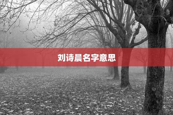 刘诗晨名字意思