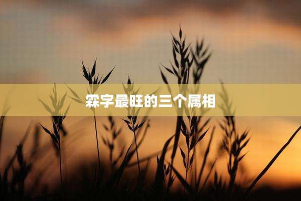 霖字最旺的三个属相