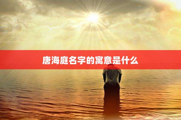 唐海庭名字的寓意是什么