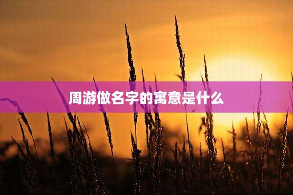 周游做名字的寓意是什么