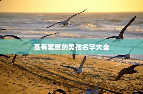 聂有寓意的男孩名字大全