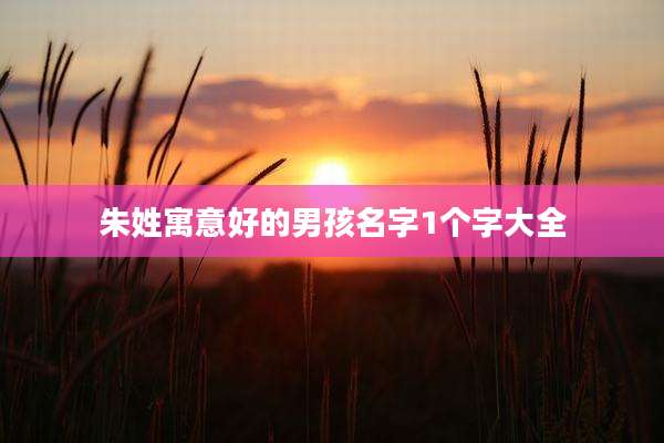 朱姓寓意好的男孩名字1个字大全