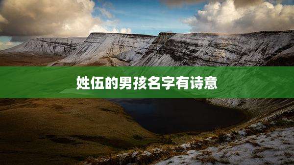 姓伍的男孩名字有诗意