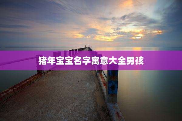 猪年宝宝名字寓意大全男孩