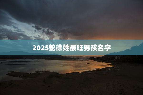 2025蛇徐姓最旺男孩名字