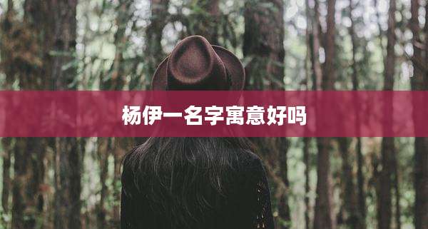 杨伊一名字寓意好吗