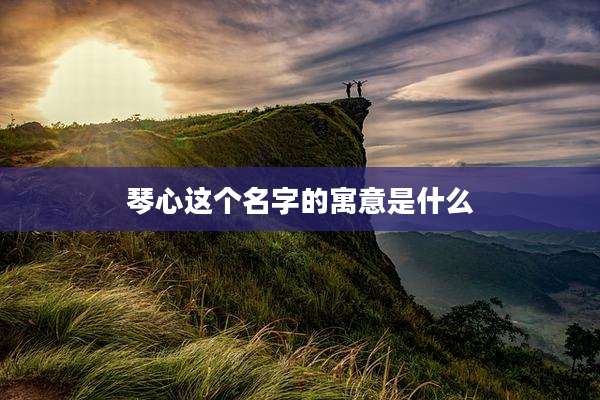 琴心这个名字的寓意是什么