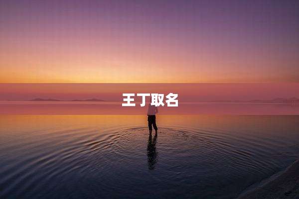 王丁取名