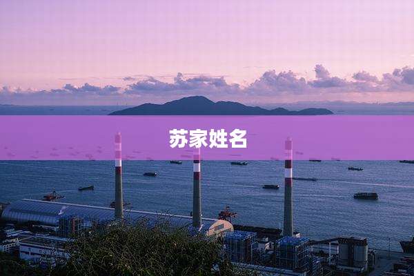 苏家姓名