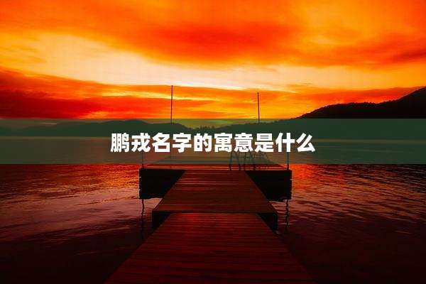 鹏戎名字的寓意是什么