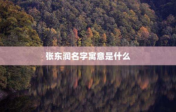 张东润名字寓意是什么