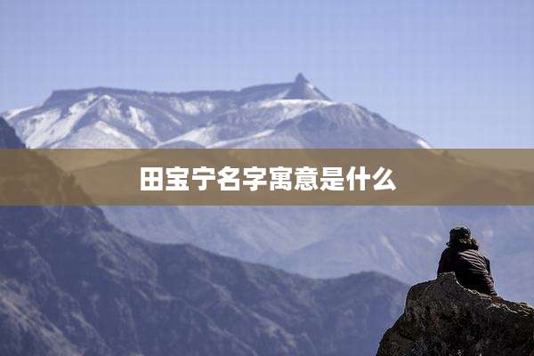 田宝宁名字寓意是什么