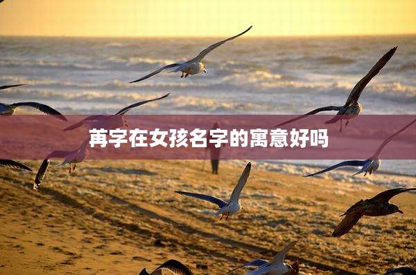 苒字在女孩名字的寓意好吗