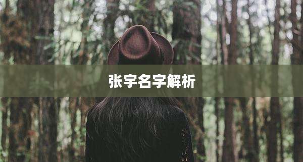 张宇名字解析