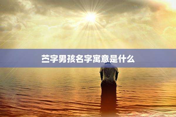 苎字男孩名字寓意是什么