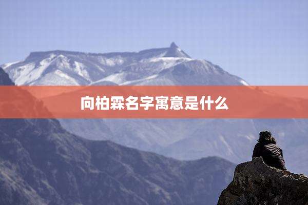 向柏霖名字寓意是什么
