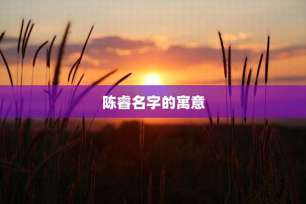 陈睿名字的寓意