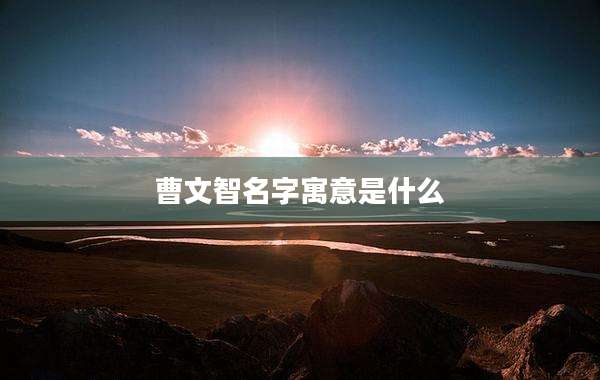 曹文智名字寓意是什么