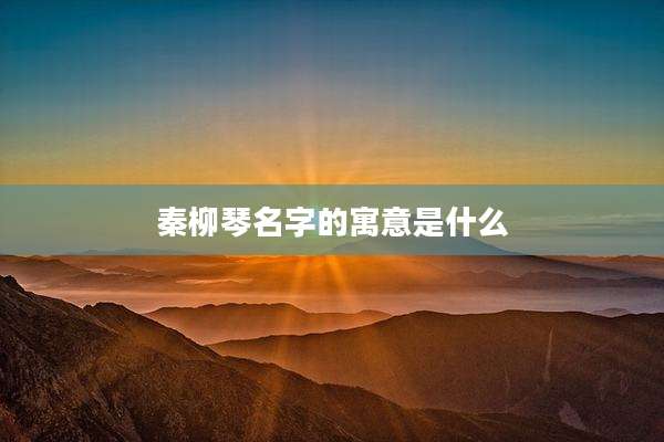 秦柳琴名字的寓意是什么