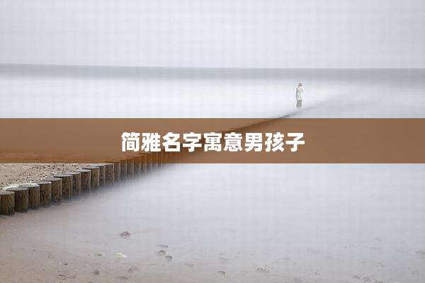 简雅名字寓意男孩子