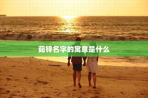 茹锌名字的寓意是什么