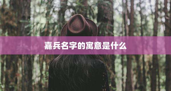 嘉兵名字的寓意是什么